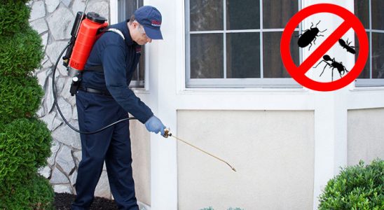 Doğanyol Pire İlaçlama böcek ilaçlama ve haşere kontrolü — ilaclama-tr.com